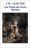 LAS PENAS DEL JOVEN WERTHER (eBook, ePUB)