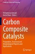 Carbon Composite Catalysts - Bild 1