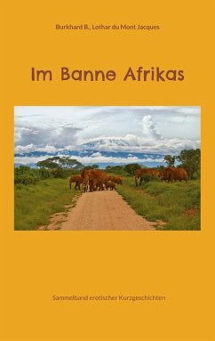 Cover Im Banne Afrikas (eBook, ePUB)