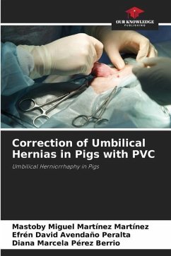Correction of Umbilical Hernias in Pigs with PVC - Martinez Martinez, Mastoby Miguel;Avendaño Peralta, Efrén David;Pérez Berrio, Diana Marcela