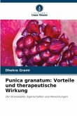 Punica granatum: Vorteile und therapeutische Wirkung