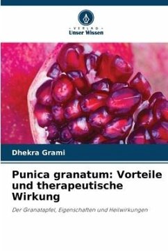 Punica granatum: Vorteile und therapeutische Wirkung - Grami, Dhekra