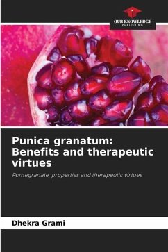 Punica granatum: Benefits and therapeutic virtues - Grami, Dhekra