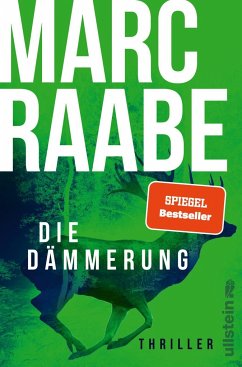 Die Dämmerung / Art Mayer-Serie Bd.2 - Raabe, Marc