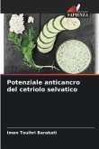 Potenziale anticancro del cetriolo selvatico