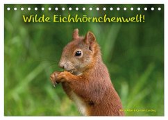 Wilde Eichhörnchenwelt! (Tischkalender 2024 DIN A5 quer), CALVENDO Monatskalender - Alber und Carsten Cording, Birte