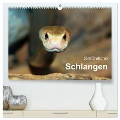 Gefährliche Schlangen (hochwertiger Premium Wandkalender 2024 DIN A2 quer), Kunstdruck in Hochglanz - Herzog, Michael
