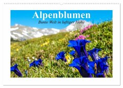 Alpenblumen. Bunte Welt in luftiger Höhe (Wandkalender 2024 DIN A2 quer), CALVENDO Monatskalender
