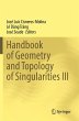 Handbook of Geometry and Topology of... - Bild 1