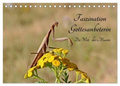 Faszination Gottesanbeterin - Die Welt der Mantis (Tischkalender 2024 DIN A5 quer), CALVENDO Monatskalender