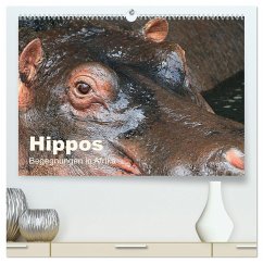Hippos - Begegnungen in Afrika (hochwertiger Premium Wandkalender 2024 DIN A2 quer), Kunstdruck in Hochglanz - Herzog, Michael