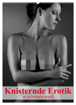 Knisternde Erotik in schwarz-weiß (Wandkalender 2024 DIN A2 hoch), CALVENDO Monatskalender