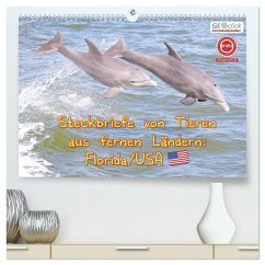 GEOclick Lernkalender: Steckbriefe von Tieren aus fernen Ländern: Florida/USA (hochwertiger Premium Wandkalender 2024 DIN A2 quer), Kunstdruck in Hochglanz