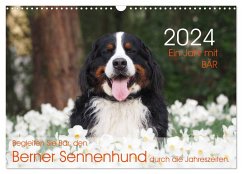 Ein Jahr mit BÄR. Begleiten Sie Bär, den Berner Sennenhund, durch die Jahreszeiten. (Wandkalender 2024 DIN A3 quer), CALVENDO Monatskalender