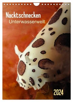 Nacktschnecken - Unterwasserwelt 2024 (Wandkalender 2024 DIN A4 hoch), CALVENDO Monatskalender