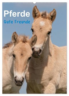 Pferde Gute Freunde (Wandkalender 2024 DIN A2 hoch), CALVENDO Monatskalender