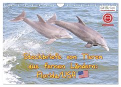 GEOclick Lernkalender: Steckbriefe von Tieren aus fernen Ländern: Florida/USA (Wandkalender 2024 DIN A4 quer), CALVENDO Monatskalender