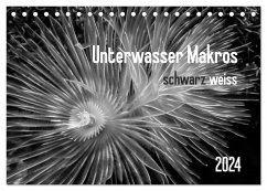 Unterwasser Makros - schwarz weiss 2024 (Tischkalender 2024 DIN A5 quer), CALVENDO Monatskalender