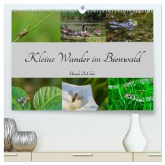 Kleine Wunder im Bienwald (hochwertiger Premium Wandkalender 2024 DIN A2 quer), Kunstdruck in Hochglanz