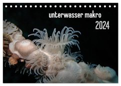 unterwasser makro 2024 (Tischkalender 2024 DIN A5 quer), CALVENDO Monatskalender