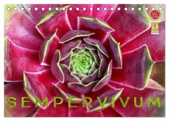 Sempervivum - Hauswurz (Tischkalender 2024 DIN A5 quer), CALVENDO Monatskalender - Cross, Martina