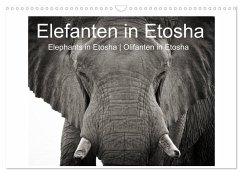 Elefanten in Etosha (Wandkalender 2024 DIN A3 quer), CALVENDO Monatskalender