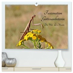 Faszination Gottesanbeterin - Die Welt der Mantis (hochwertiger Premium Wandkalender 2024 DIN A2 quer), Kunstdruck in Hochglanz