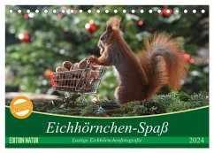 Eichhörnchen-Spaß (Tischkalender 2024 DIN A5 quer), CALVENDO Monatskalender