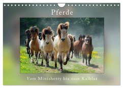 Pferde Vom Minishetty bis zum Kaltblut (Wandkalender 2024 DIN A4 quer), CALVENDO Monatskalender