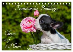 Französische Bulldogge - Clown auf 4 Pfoten (Tischkalender 2024 DIN A5 quer), CALVENDO Monatskalender