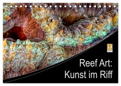 Reef Art - Kunst im Riff (Tischkalender 2024 DIN A5 quer), CALVENDO Monatskalender