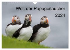 Welt der Papageitaucher (Wandkalender 2024 DIN A4 quer), CALVENDO Monatskalender