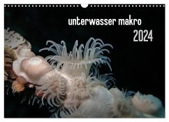 unterwasser makro 2024 (Wandkalender 2024 DIN A3 quer), CALVENDO Monatskalender - Weber-Gebert, Claudia