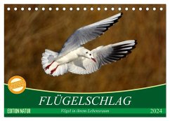 Flügelschlag - Vögel in ihrem natürlichen Lebensraum (Tischkalender 2024 DIN A5 quer), CALVENDO Monatskalender