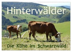 Hinterwälder - Die Kühe aus dem Schwarzwald (Wandkalender 2024 DIN A2 quer), CALVENDO Monatskalender