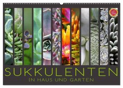 Sukkulenten in Haus und Garten (Wandkalender 2024 DIN A2 quer), CALVENDO Monatskalender - Cross, Martina
