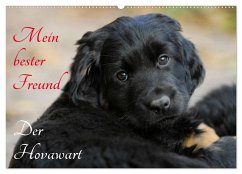 Mein bester Freund - Der Hovawart (Wandkalender 2024 DIN A2 quer), CALVENDO Monatskalender