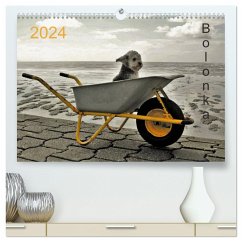 Bolonka 2024 (hochwertiger Premium Wandkalender 2024 DIN A2 quer), Kunstdruck in Hochglanz