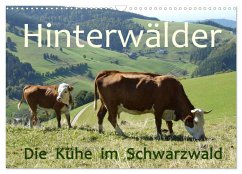 Hinterwälder - Die Kühe aus dem Schwarzwald (Wandkalender 2024 DIN A3 quer), CALVENDO Monatskalender