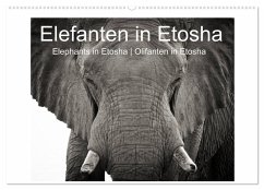 Elefanten in Etosha (Wandkalender 2024 DIN A2 quer), CALVENDO Monatskalender