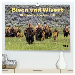 Bison und Wisent - Riesen mit unbändiger Kraft (hochwertiger Premium Wandkalender 2024 DIN A2 quer), Kunstdruck in Hochglanz