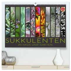 Sukkulenten in Haus und Garten (hochwertiger Premium Wandkalender 2024 DIN A2 quer), Kunstdruck in Hochglanz - Cross, Martina