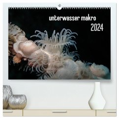 unterwasser makro 2024 (hochwertiger Premium Wandkalender 2024 DIN A2 quer), Kunstdruck in Hochglanz