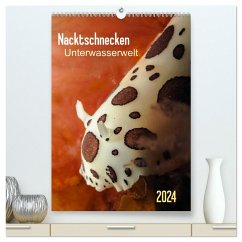 Nacktschnecken - Unterwasserwelt 2024 (hochwertiger Premium Wandkalender 2024 DIN A2 hoch), Kunstdruck in Hochglanz