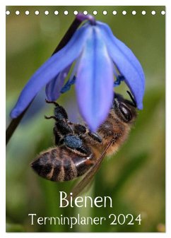 Bienen-Terminplaner 2024 (Tischkalender 2024 DIN A5 hoch), CALVENDO Monatskalender - Hahnefeld, Silvia