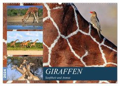 Giraffen - Sanftheit und Anmut (Wandkalender 2024 DIN A2 quer), CALVENDO Monatskalender - Herzog, Michael