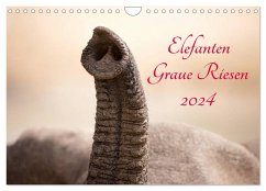 Elefanten - Graue Riesen (Wandkalender 2024 DIN A4 quer), CALVENDO Monatskalender