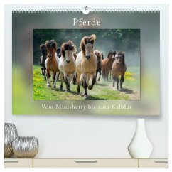 Pferde Vom Minishetty bis zum Kaltblut (hochwertiger Premium Wandkalender 2024 DIN A2 quer), Kunstdruck in Hochglanz - Beuck, Angelika