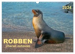 Robben - überall zuhause (Wandkalender 2024 DIN A3 quer), CALVENDO Monatskalender