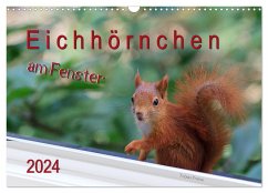 Eichhörnchen am Fenster (Wandkalender 2024 DIN A3 quer), CALVENDO Monatskalender